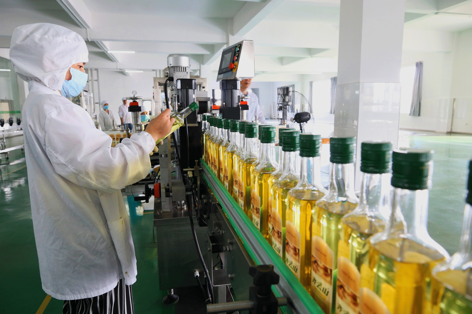 江西新闻客户端:江西油茶产业2025年综合产值将突破1000亿元
